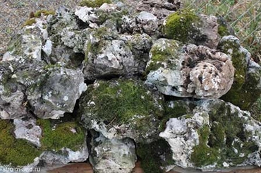 СЕРЫЙ ИЗВЕСТНЯК СО МХОМ