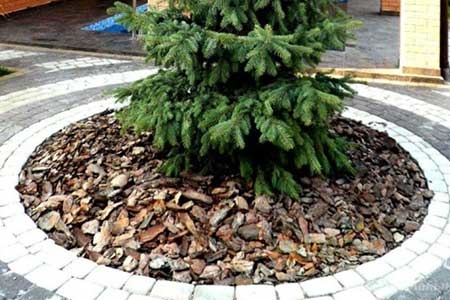 КОРА МУЛЬЧА ХВОЙНЫХ ПОРОД